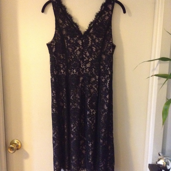 LOFT V-neck Lace LBD. - Picture 7 of 8